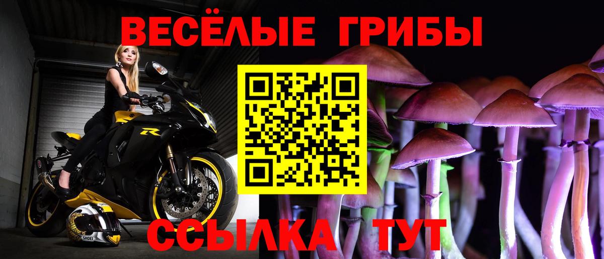 Галлюциногенные грибы Psilocybine cubensis  Вход с VPN  Красногорск 